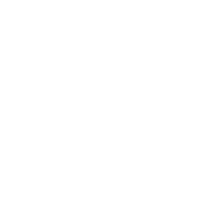 Legal Animation Consulting logo